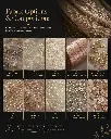 Embroidery & Embellished Fabrics STARS TEXTILES (5).webp